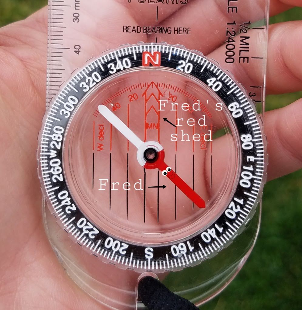 Meet Fred the magnetic compass needle