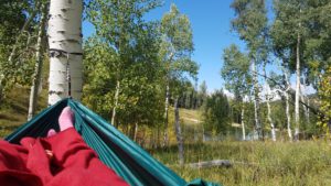 Hammock Camping