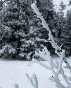 snow hiking