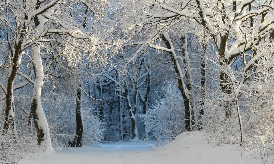 Snow Hiking