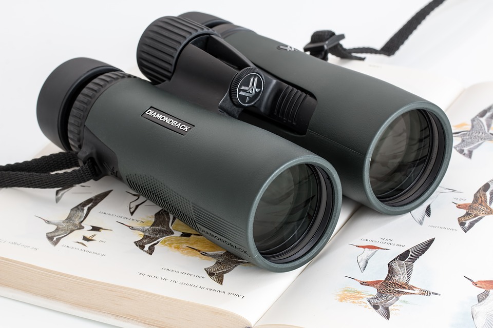 Binoculars Buying Guide 