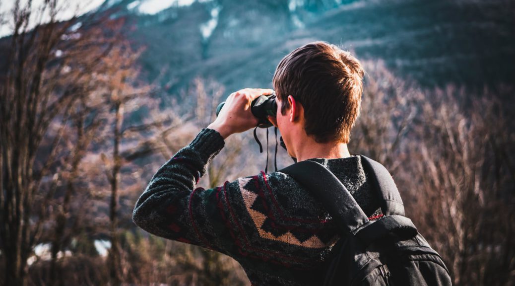 Which Binoculars are Best?